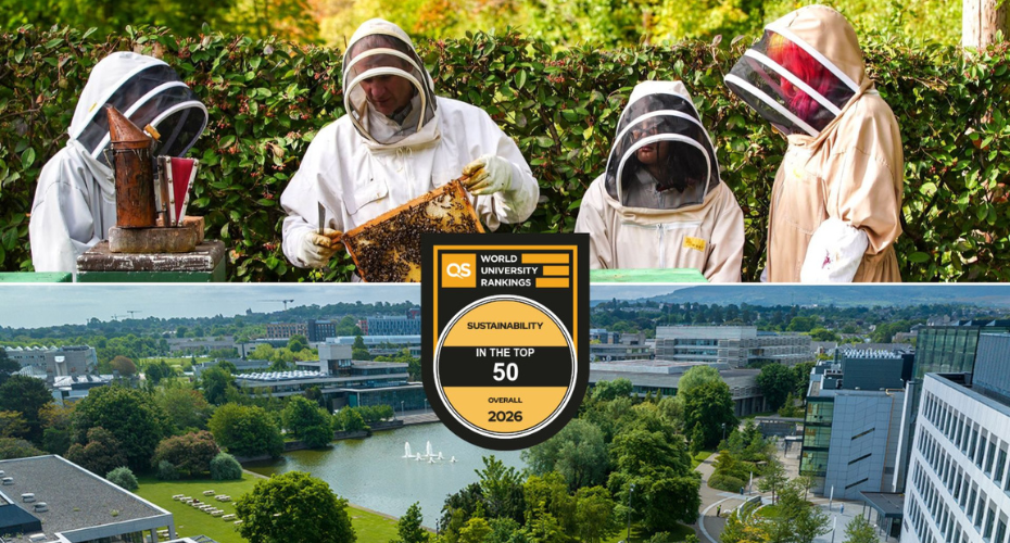 Four people in protective gear working with bee biodiversity, aerial image of the UCD Belfield campus and the QS rankings banner for top 50 universities for sustainability in 2026.